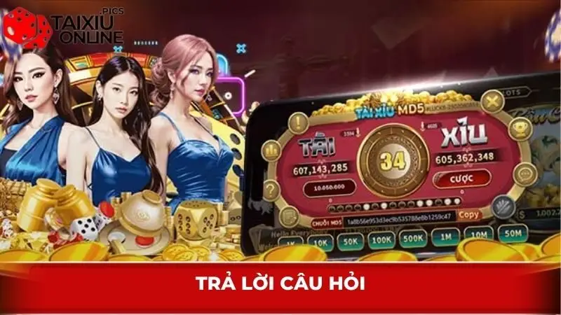 Trả lời câu hỏi